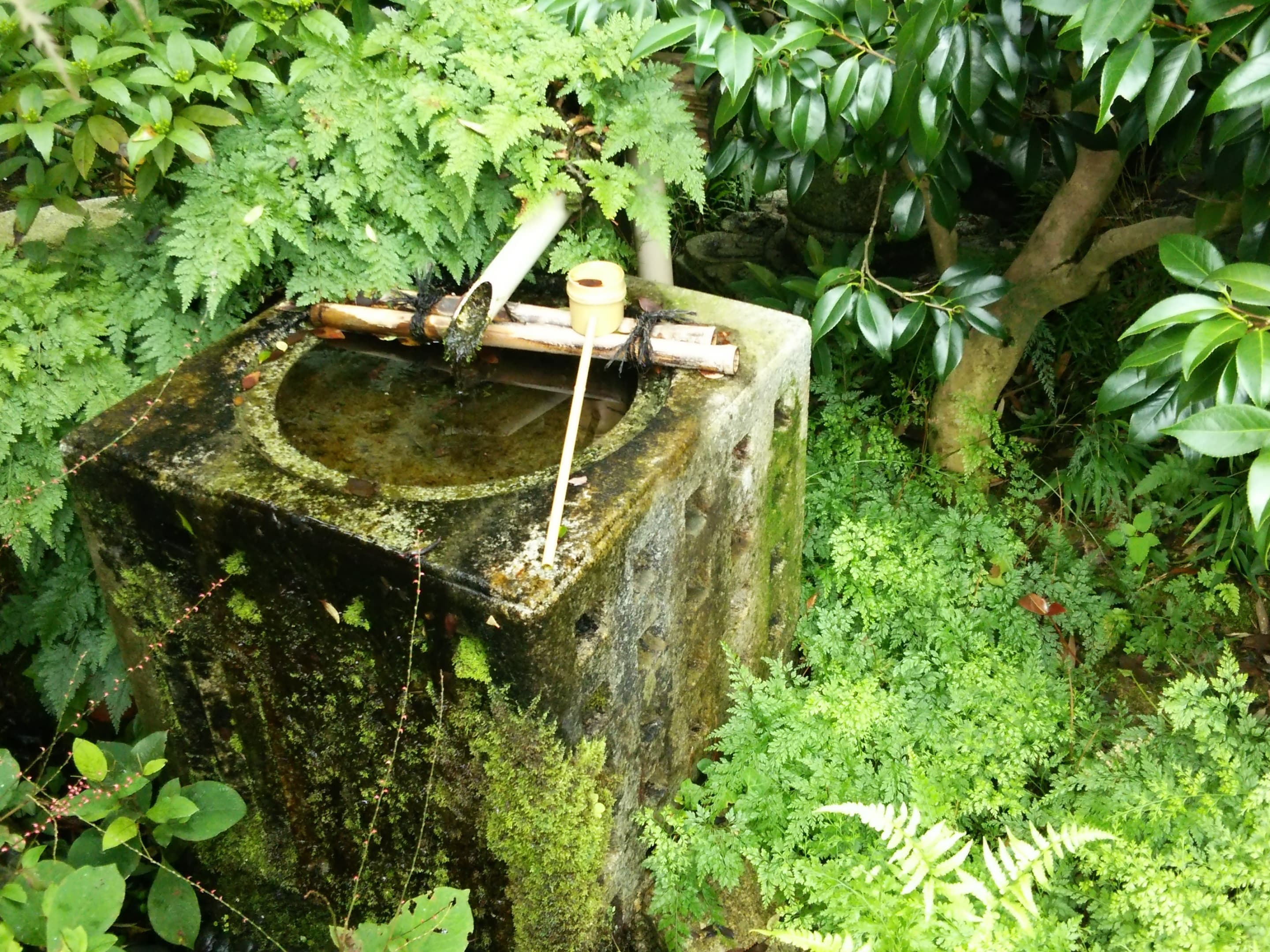 夏庭つくばい
